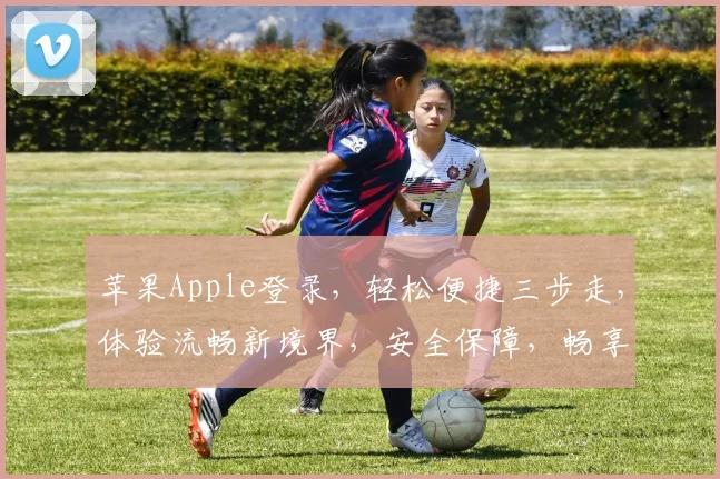苹果Apple登录，轻松便捷三步走，体验流畅新境界，安全保障，畅享无忧