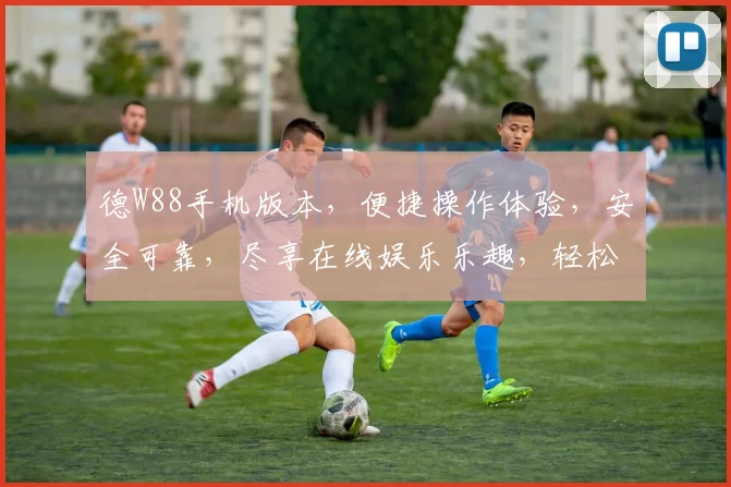 德W88手机版本，便捷操作体验，安全可靠，尽享在线娱乐乐趣，轻松登录，畅玩无忧。