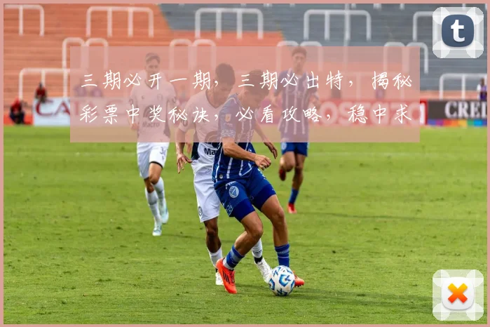 三期必开一期，三期必出特，揭秘彩票中奖秘诀，必看攻略，稳中求胜