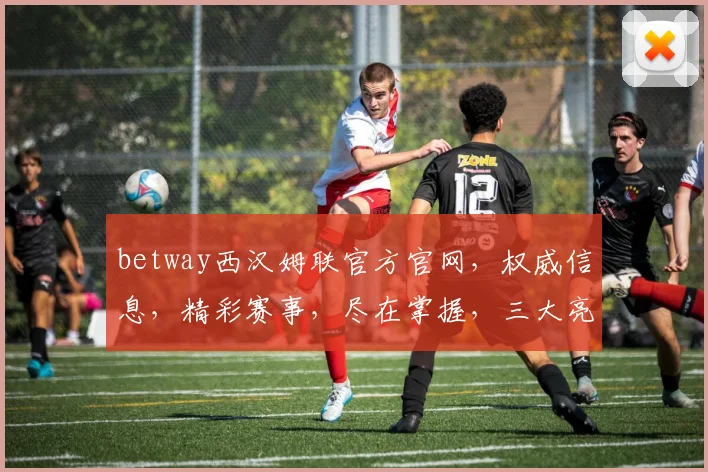 betway西汉姆联官方官网，权威信息，精彩赛事，尽在掌握，三大亮点，不容错过，体验非凡
