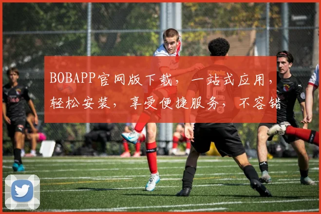 BOBAPP官网版下载，一站式应用，轻松安装，享受便捷服务，不容错过